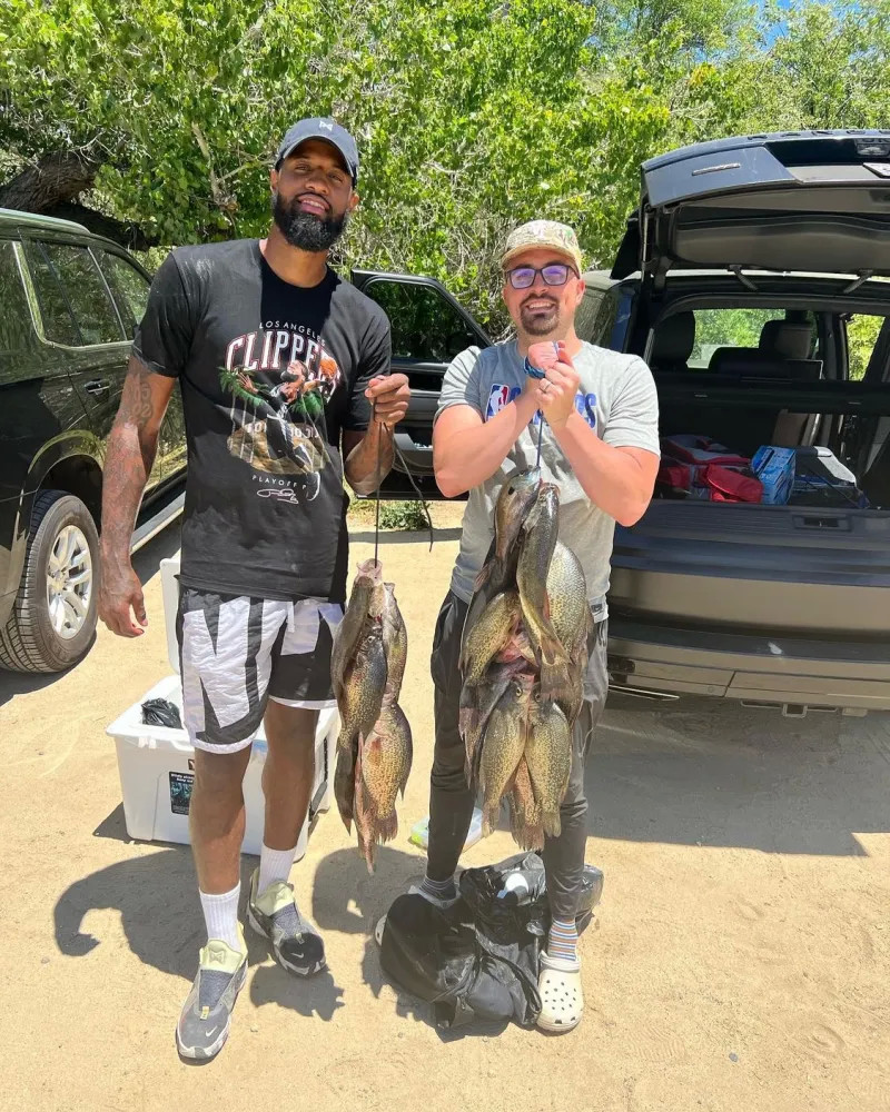 更高排名 更高排名